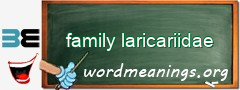 WordMeaning blackboard for family laricariidae